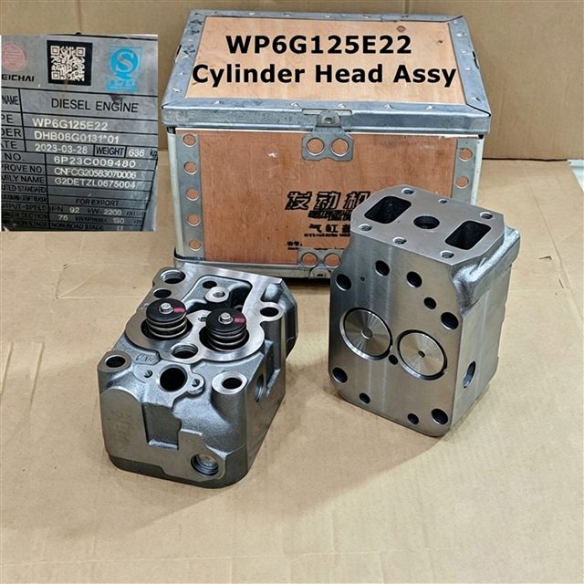 Baudouin 4M10G88 Cylinder Head 1004882176