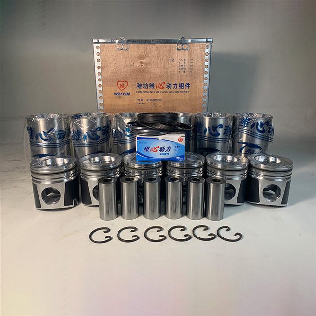 Weichai WD615 Overhaul Kit 612600900072