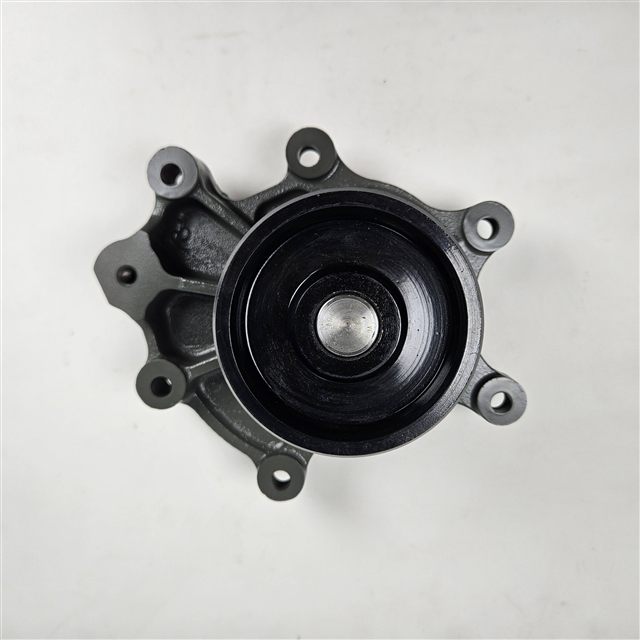 Weichai WP13 Water Pump 1000437469
