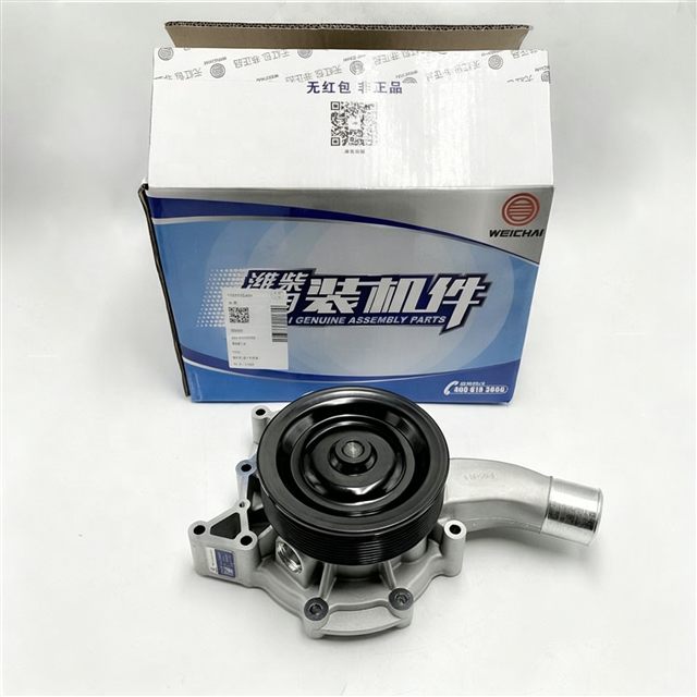 Weichai WP8 Water Pump 610800060207